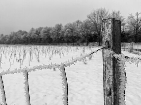 IMG_5761b.jpg