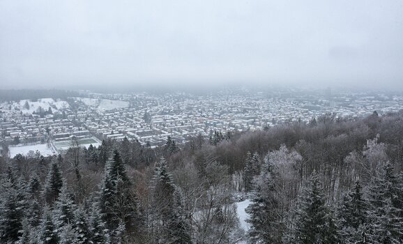 DSC_3206.222222.jpg