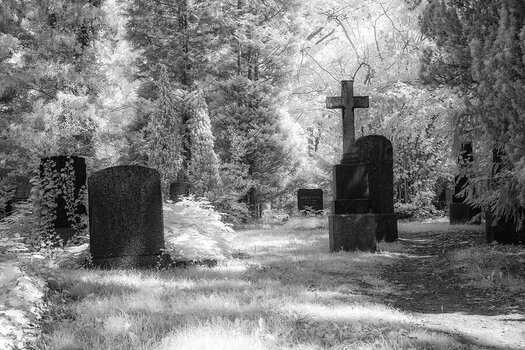 20230712-IR-Magnifriedhof_024 Kopie.jpg