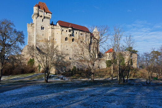 DSC_7562_DxO_DxO.jpg