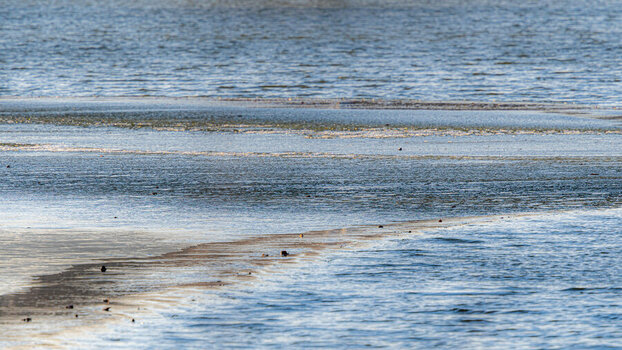 2024-01-14_Tulln_Bachspaziergang zum Aubad_0020.jpg
