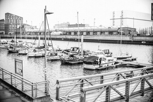 DSC_0927.jpg