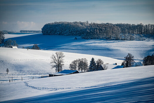 2024-01-18_KIE_WInter_1.jpg