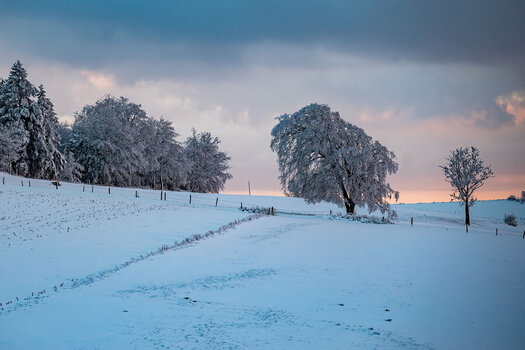 SYM_Winterlandschaft_2.jpg