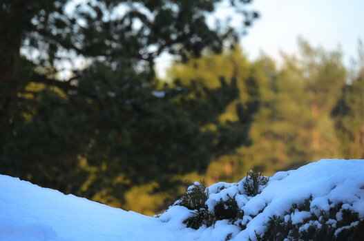 DSC_0005.jpg