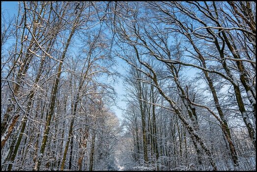 comp_Schneegasse.jpg
