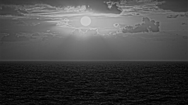 DSC_3804_DxO_DxO.jpg
