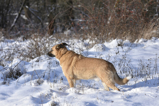 20241019_16_Sedlitz_Winter_kl.JPG