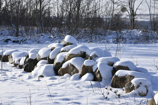 20241019_14_Sedlitz_Winter_kl.JPG