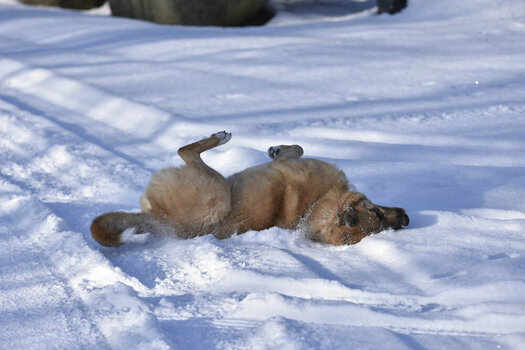 20241019_13_Sedlitz_Winter_kl.JPG