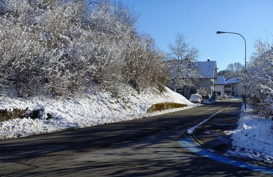 DSC03557.V.222.jpg