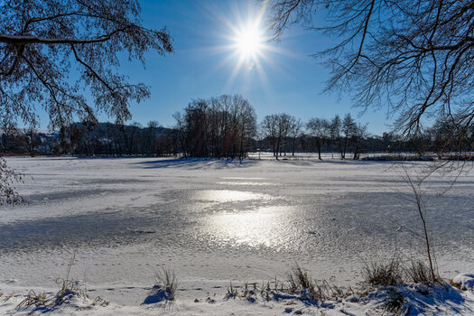 750_7280_DxO.jpg