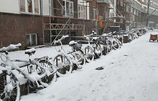 2-KölnSchnee_17-01-2023.jpg