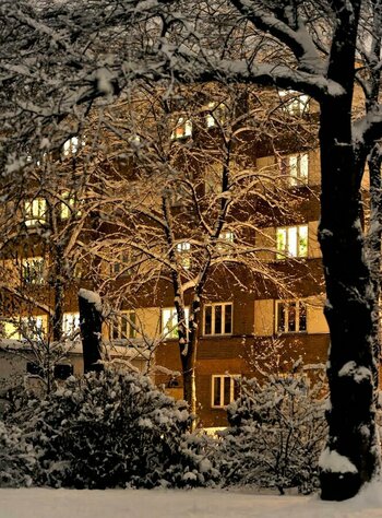 Schneenacht.jpg