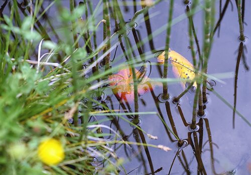 DSC_6341.jpg