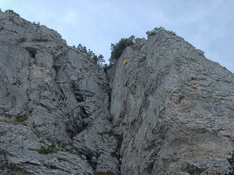 DSCF8725.jpg