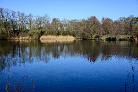 BCM_0045.jpg