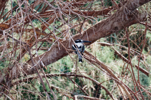 DSC_7068_DxO.jpg