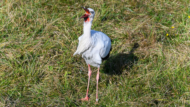DSC_6104 - Kopie_DxO.jpg