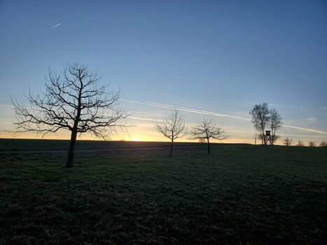 20240128_170026.jpeg