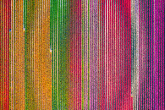 DJI_0043 Kopie.jpg
