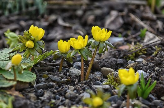 DSC_3307.F.jpg