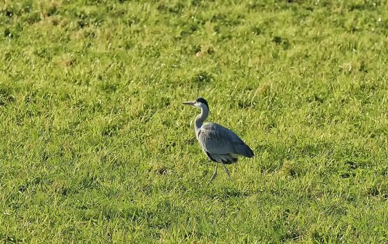 DSC_0839.jpg