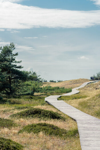 D71_7444.jpg