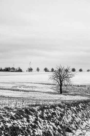 Z62_0322.jpg