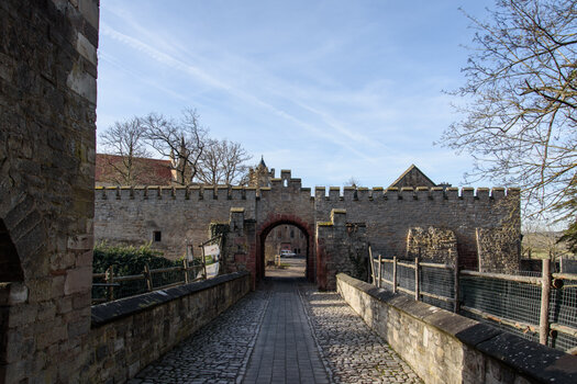 750_7607.jpg