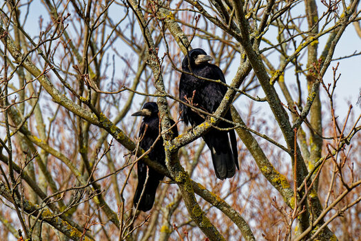 DSC_7689_DxO - Kopie_DxO.jpg DSC_7689_DxO - Kopie_DxO.jpg