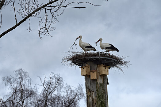 DSC_0856.F.jpg DSC_0856.F.jpg