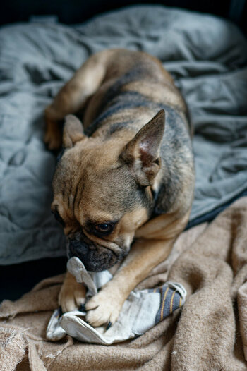DSC_0007_DxO.jpg