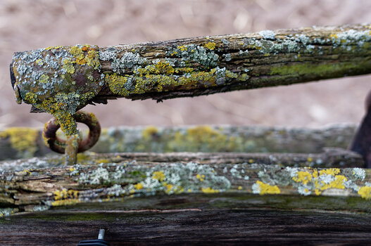 DSC_0081_DxO_Forum.jpg