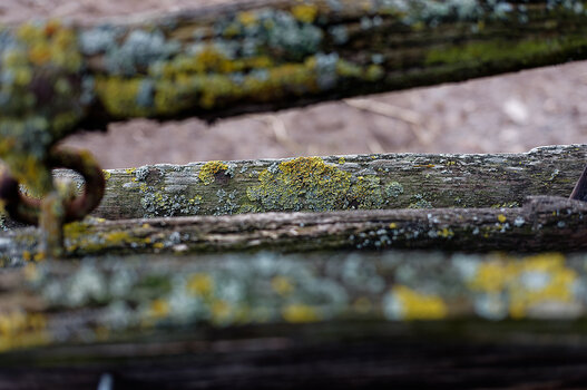DSC_0085_DxO_Forum.jpg