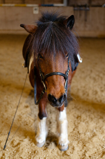 DSC_0076_DxO_Forum.jpg
