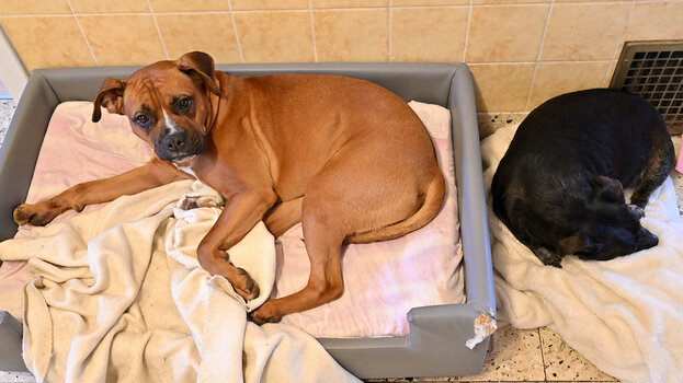 DSC_10912.jpg