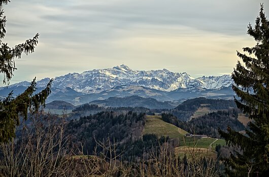 DSC_0989.F.jpg