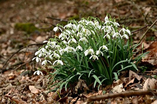 Feb18_0055.JPG