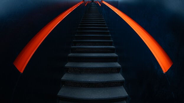 k_032_SIGMA_15mm_F1.4_DG_DN_DIAG_FISH_Referenz.jpg