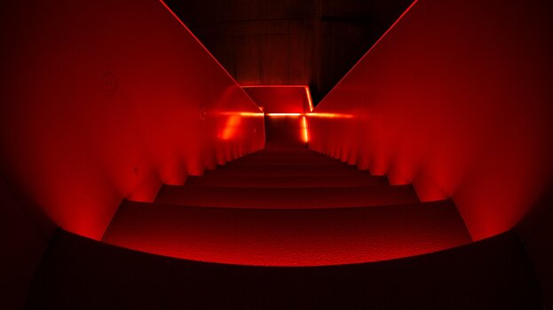 k_042_SIGMA_15mm_F1.4_DG_DN_DIAG_FISH_Referenz.jpg