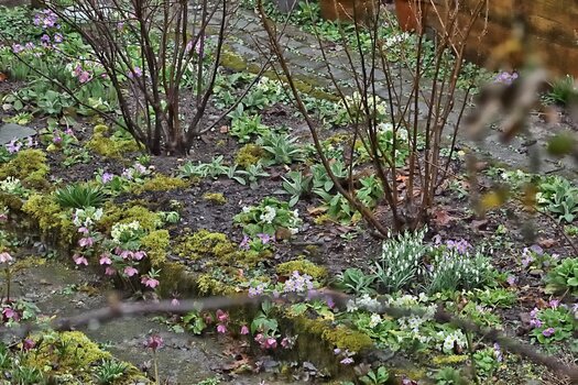 DSC_1214.F.jpg DSC_1214.F.jpg