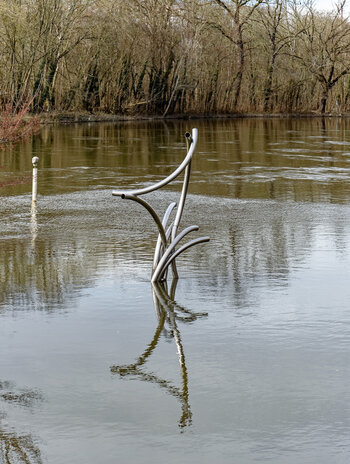 750_7707_DxO.jpg