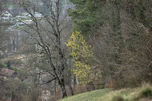 DSC_3394.F.jpg