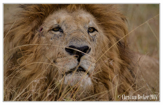 2018 Kenia-0040.jpeg