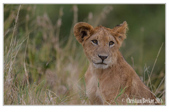 2018 Kenia-0026.jpeg