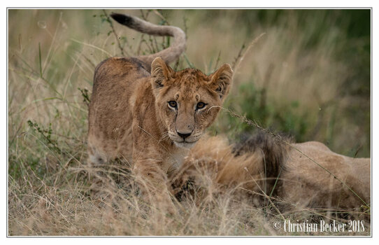 2018 Kenia-0030.jpeg