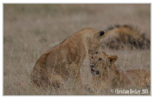 2018 Kenia-0047.jpeg