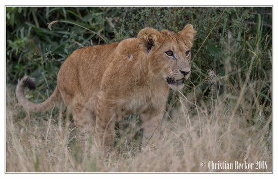 2018 Kenia-0031.jpeg