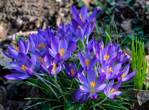 DSC_3578_DxO.jpg